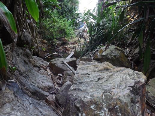 Pulau Kapas - letzte Schritte auf dem Dschungelpfad